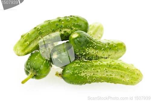 Image of Cucumbers on white