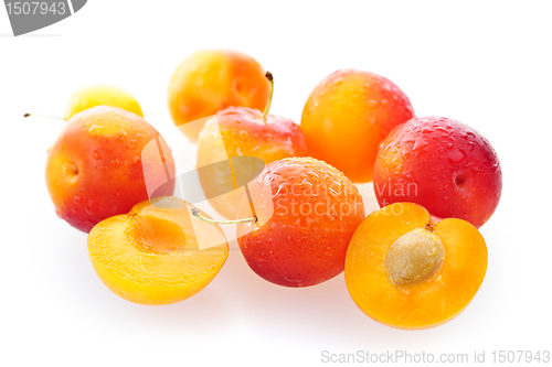 Image of Yellow plums