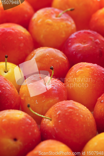 Image of Plums background