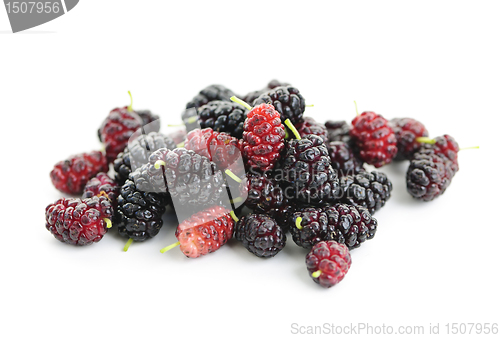 Image of Fresh mulberries