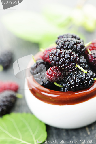 Image of Fresh mulberries