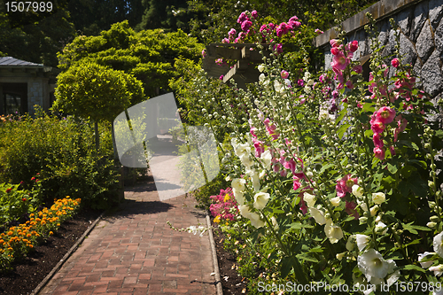 Image of Colorful flower garden