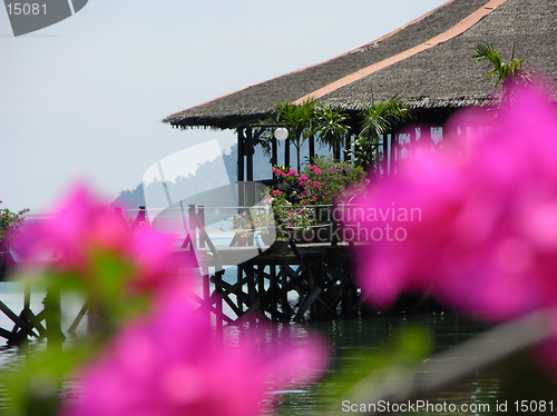 Image of Tropical scene