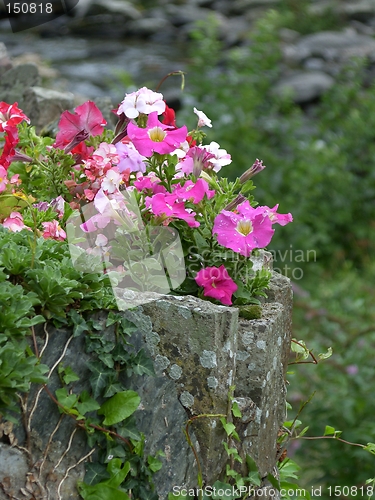 Image of Rock Planter