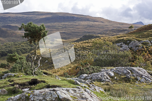 Image of rural landscape in the scottish highlands