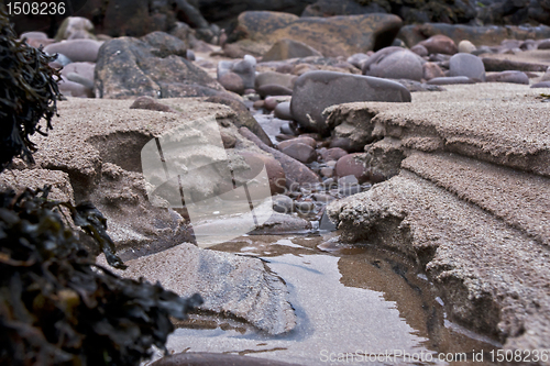 Image of closeup of costal scene