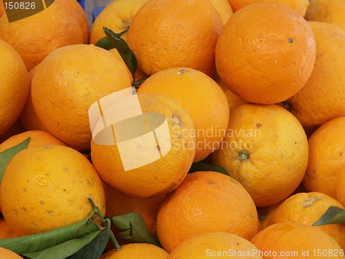 Image of Spanish Oranges