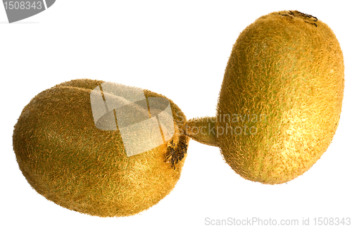 Image of kiwifruit