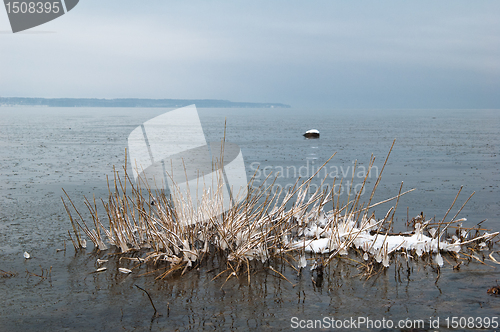 Image of winter landscape on the shore of the Sea 