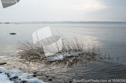 Image of winter landscape on the shore of the Sea 