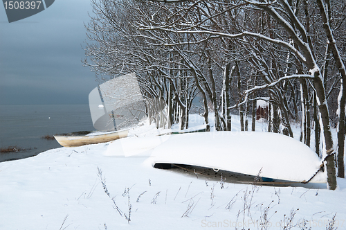 Image of winter landscape on the shore of the Sea 