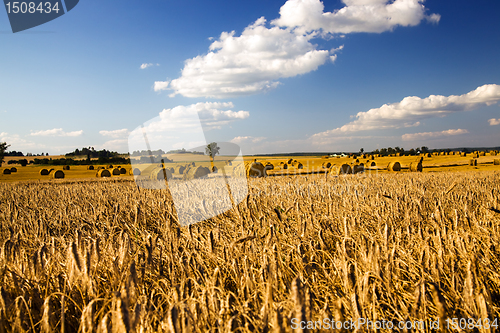 Image of Cleaning of cereals