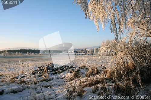 Image of Winter landscape