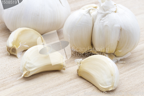 Image of Garlic
