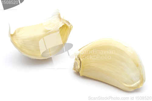 Image of Garlic
