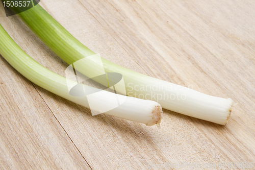 Image of Fresh green onion