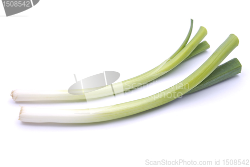 Image of fresh green onions 