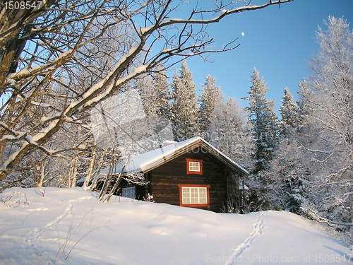 Image of Winter landscape