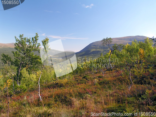 Image of Autumn landscape