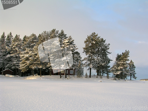Image of Winter landscape