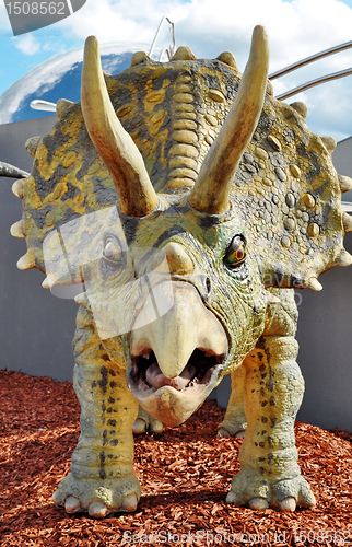 Image of Triceratops dinosaur