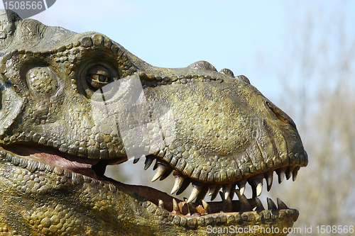 Image of Dinosaur Tyrannosaurus Rex Head