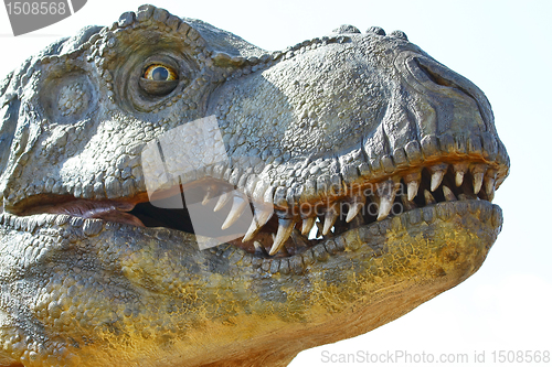 Image of Dinosaur Tyrannosaurus rex on white
