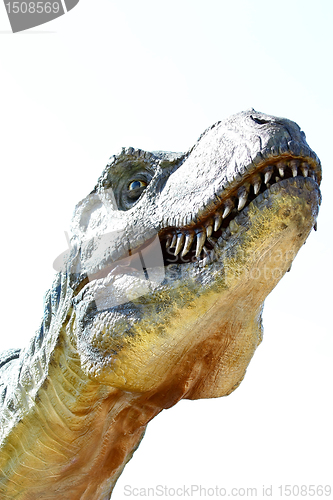 Image of Dinosaur Tyrannosaurus rex on white
