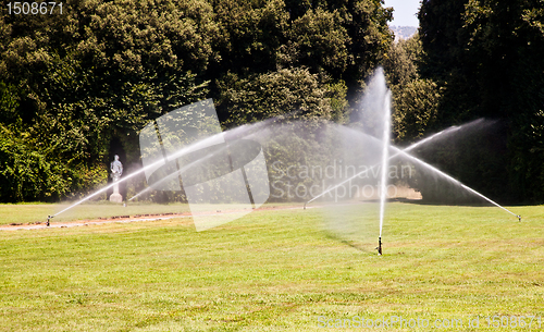Image of Luxury garden: irrigation