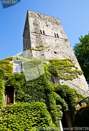 Image of Castle covered by ivy