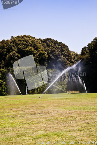 Image of Luxury garden: irrigation