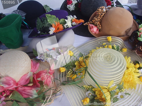 Image of Derby hats