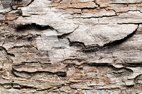 Image of Wooden background