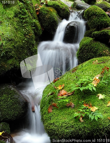 Image of Waterfall in the forest