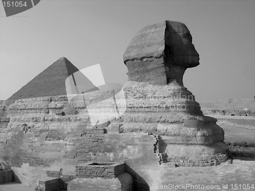 Image of Sphinx and the pyramid of Cheops in B/W