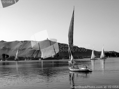 Image of Felukahs on the Nile in B/W