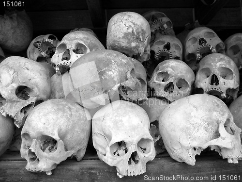 Image of Human skulls in B/W