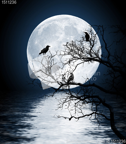 Image of Ravens sitting on a tree shined with the full moon