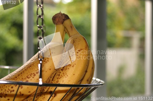 Image of Bananas