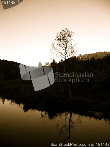 Image of Trolley norwegian forest