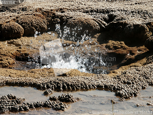 Image of Bubbling Geyser