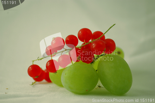 Image of Uva and ribes - Fruit