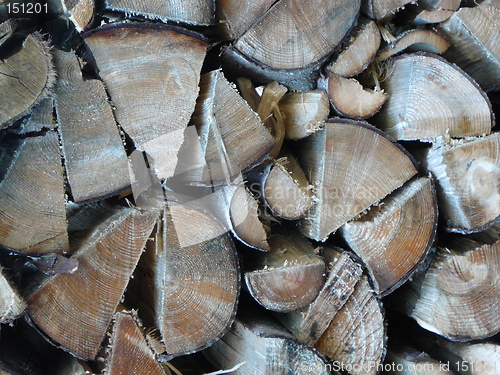 Image of Woodpile