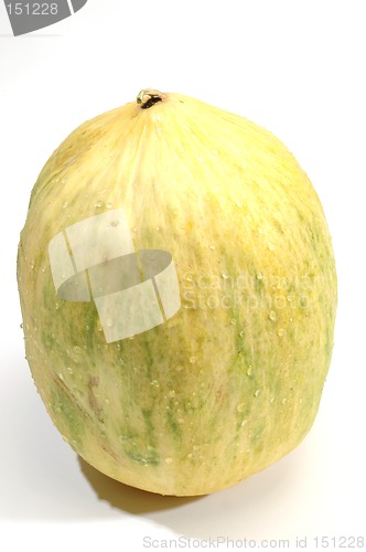 Image of  crenshaw melon