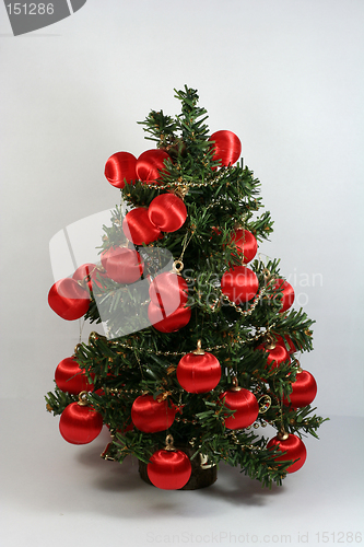 Image of Christmas Tree