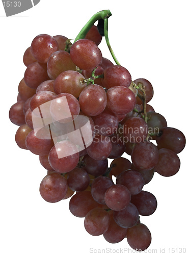 Image of Grapes