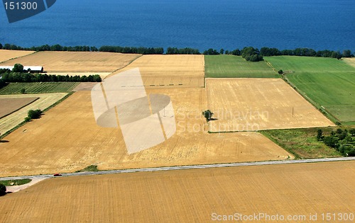 Image of Fields