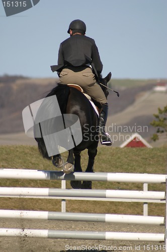 Image of Horse jumping