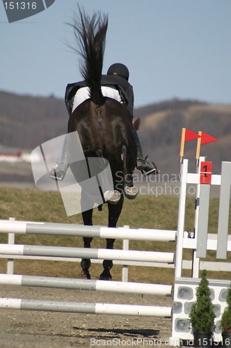 Image of Horse jumping