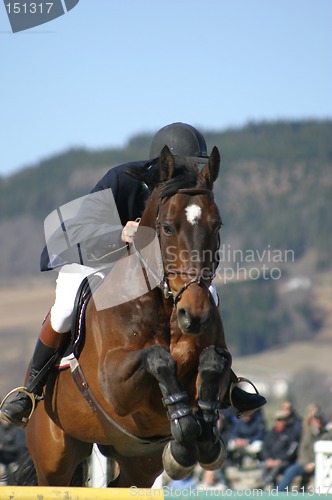 Image of Horse jumping